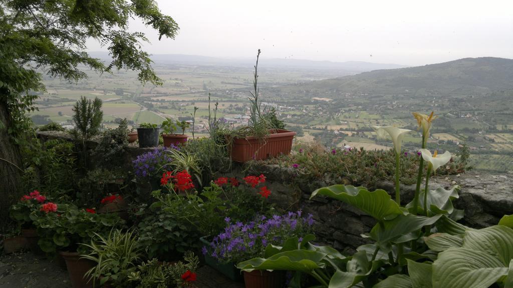 Casa Mia A Cortona Daire Oda fotoğraf